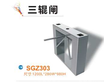 虎林市三辊闸四号
